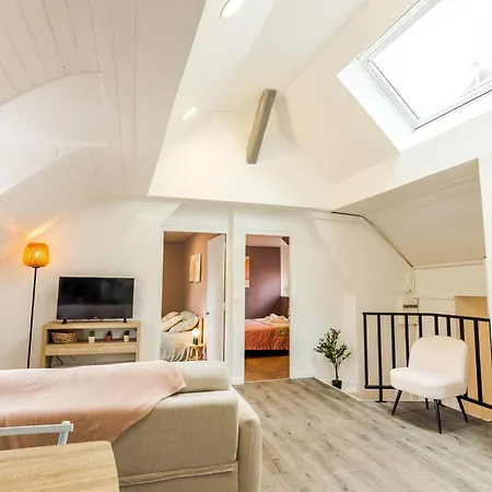 Appartamento Le Central, Lumineux Et Spacieux - Entrée Autonome *