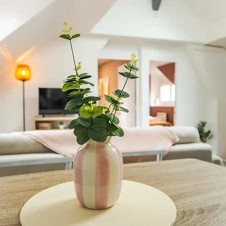 Le Central, Lumineux Et Spacieux - Entrée Autonome *